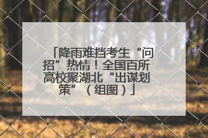 降雨难挡考生“问招”热情！全国百所高校聚湖北“出谋划策”（组图）